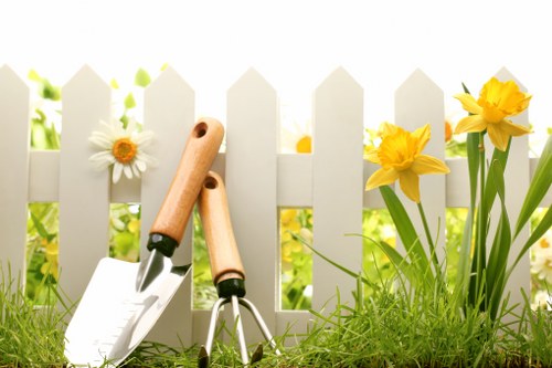 Seasonal hedge cutting and tidy-up for a Wallington home