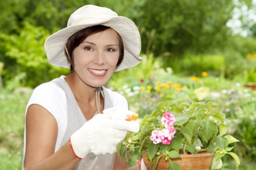 Customer concern review process for tree surgery service