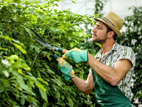 Illustration of modern slavery risk awareness in a tree surgery business
