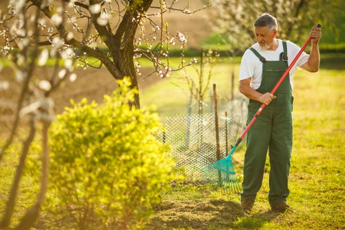 Free quote assessment for local tree work in Wallington